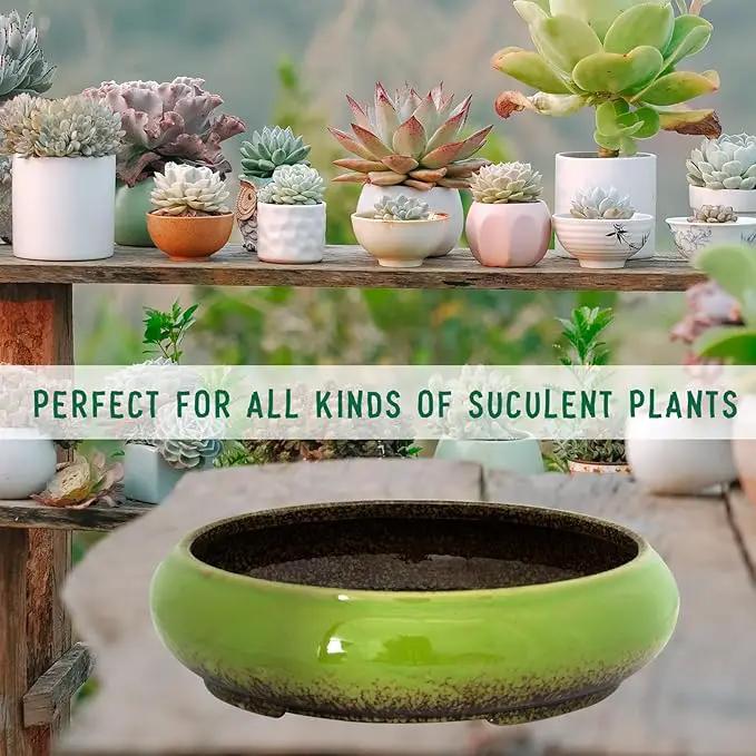 Succulent Pots - 11.5 Inch Ceramic Bonsai Pots with Drainage, Large Shallow Succulent Planters for Indoor Outdoor Plants, Round Glazed Cactus Flower Plant Container Bowl Home Desk Decor(Green) by GreenHaven Gardens