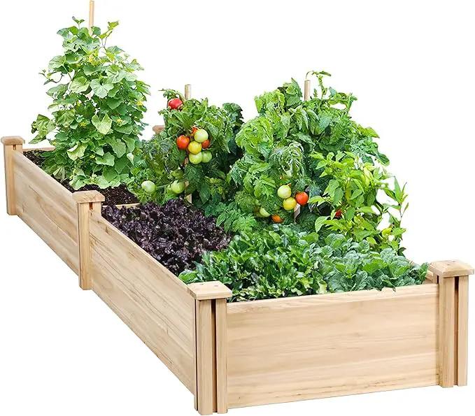 Yaheetech 8×2ft Wooden Horticulture Raised Garden Bed Divisible Elevated Planting Planter Box for Flowers/Vegetables/Herbs in Backyard/Patio Outdoor, Natural Wood, 95 x 25 x 11in by GreenHaven Gardens