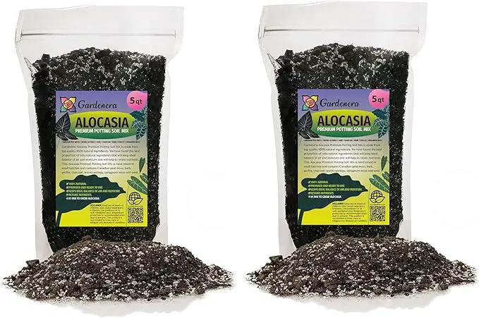 Alocasia Plant Potting Soil - All-Natural Blend for Thriving Alocasia Plants - Boosts Root Health and Distinctive Foliage - 10 Quart by GreenHaven Gardens