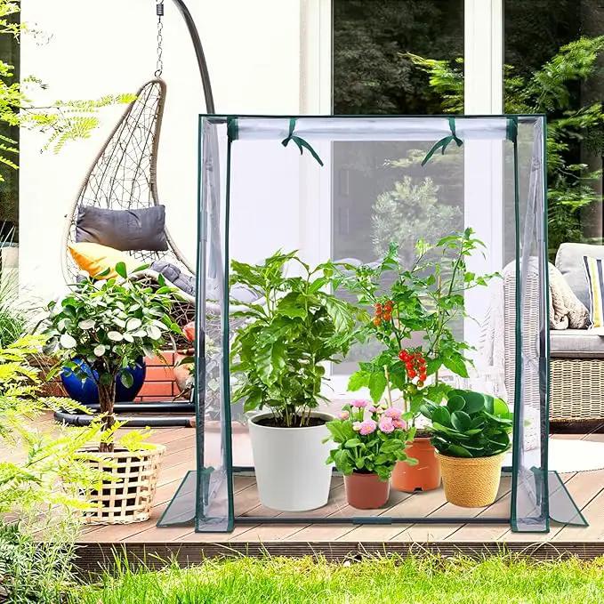 Mini Greenhouse for Indoor Outdoor: Ohuhu Tabletop Portable Green House with Waterproof Pad for Small Plants Nursery Germination, 36"x36"x42" Light Duty Cover Tent Humidity Dome Seedling Accessory by GreenHaven Gardens