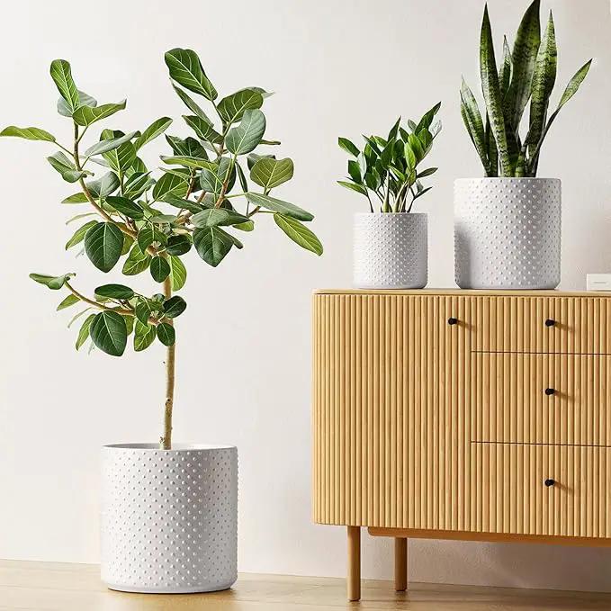 LE TAUCI Ceramic Plant Pots Indoor, 10+8+6 Inch Planters for Indoor Plants, Raised Dots Flower Pots with Drainage Hole and Plug, Cylinder Round Planters, Set of 3, White by GreenHaven Gardens
