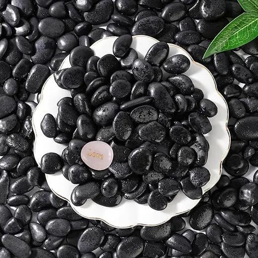 SIDONG 10 LB Black River Rocks, 0.3-0.5 Inches High Polished Pebbles for Indoor Plants, Aquarium Rocks Used in Fish Tank, Decorative Stones for Plants, Vases, Home Décor, Crafting, Garden Landscaping by GreenHaven Gardens