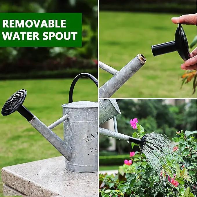 Galvanized Watering Can for Outdoor Indoor Plants, 1 Gallon Decorative Countryside Style Water Can with Removable Spout, Perfect Metal Watering Can for Indoor Plants and Garden Flower by GreenHaven Gardens