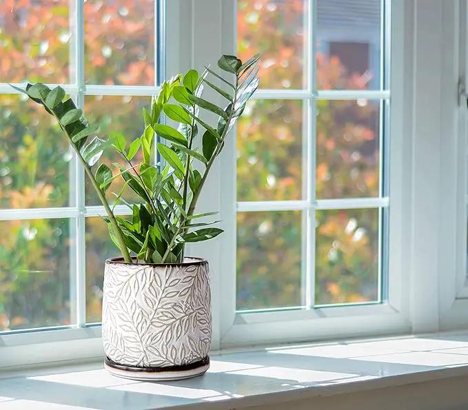 D'vine Dev 6 Inch Embossed Leaves Stoneware Planter Pot with Drainage Hole and Saucer, Smoked White, Set of 1, 27-A-X-1 by GreenHaven Gardens