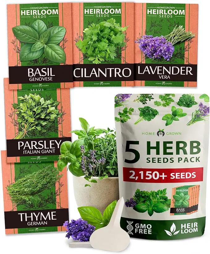 HOME GROWN 5 Herb Seeds for Planting 2,150+ Non-GMO Heirloom Seeds | Extra Large Variety Pack Herb Kit – Indoor Outdoor & Hydroponic | Culinary Seed Set | Grow Your Own Herbs | Gift for Beginners by GreenHaven Gardens