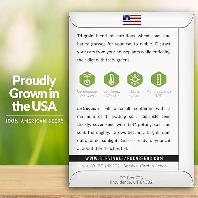 Cat Grass Seed for Planting - 3 Packets with Instructions to Plant & Grow Greens for Your Pet Indoors or Outdoors in a Container or Garden - Non-GMO Heirloom Variety - Survival Garden Seeds by GreenHaven Gardens