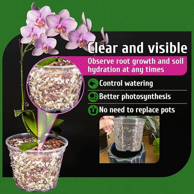 REMIAWY Orchid Pot, 6 Pack Orchid Pots with Holes, 5.5 Inch Clear Plastic Flower Planters for Repotting Indoor Outdoor, Breathable Slotted Nursery Planter by GreenHaven Gardens