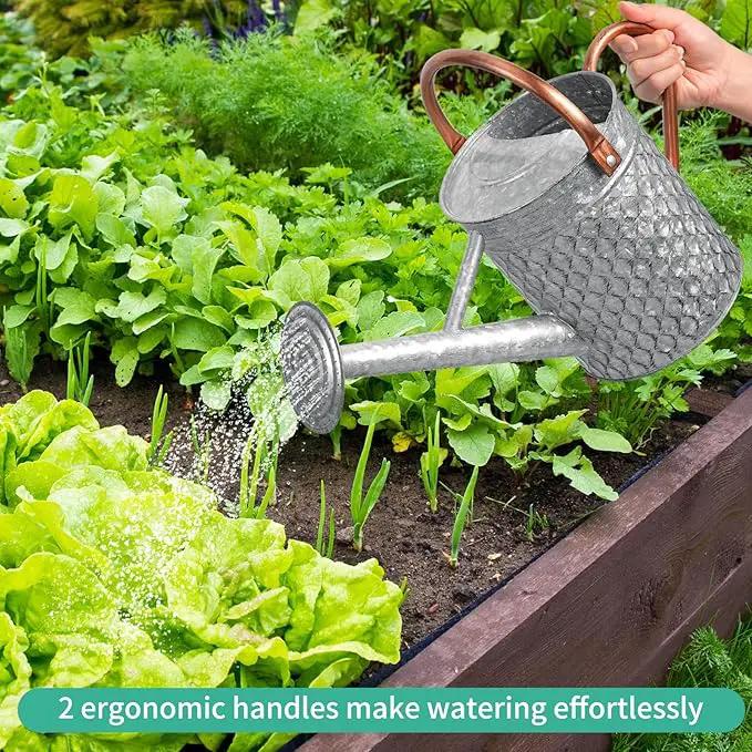 1 Gallon Metal Watering Can for Outdoor Indoor Plants, Galvanized Watering Can with Removable Spray Spout, Ideal for Garden Watering by GreenHaven Gardens