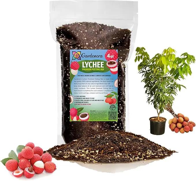 Premium Lychee Potting Soil Mix - Perfect Balance of Nutrients, Drainage, and Aeration for Thriving Lychee Trees - 4 Quart by GreenHaven Gardens