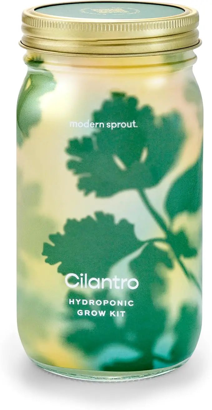 Modern Sprout Mason Garden Jar - Self-Watering Hydroponics Growing System Kit with Organic Herb Seeds - Jar Planter for Indoor Herb Garden - Seed Starter Kit - Home Decor & Gifting - Cilantro by GreenHaven Gardens