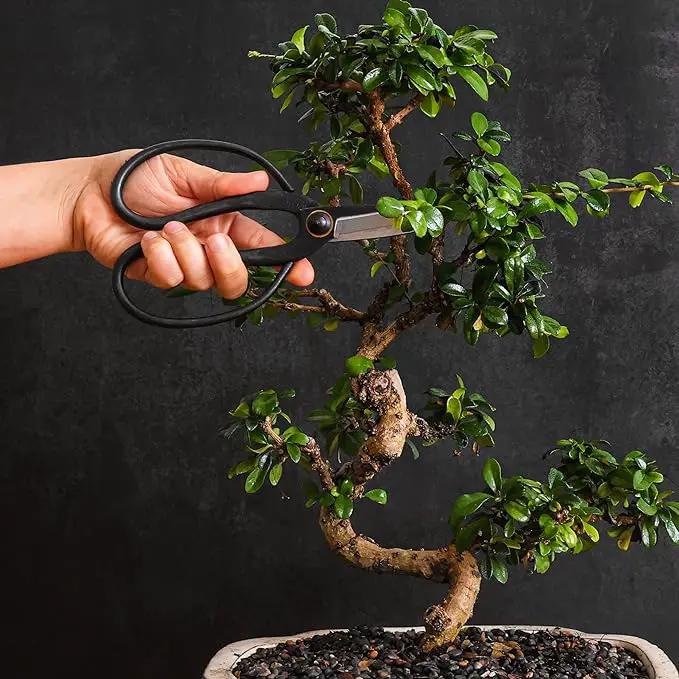Professional Bonsai Butterfly Scissors | Pruning Shears for Trimming Plants | Japanese Gardening, Bonsai Tools | Garden Scissors by GreenHaven Gardens