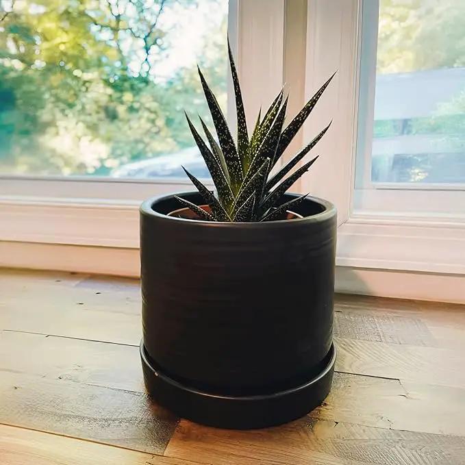 6 Inch Plant Pots, Ceramic Planter Pot with Drainage Hole & Saucer, Indoor/Outdoor Cylinder Round Planter Pot, Matte Black by GreenHaven Gardens