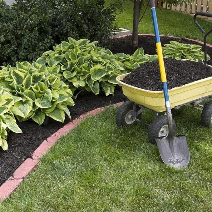 Ultimate Hosta Garden Collection 6-Pack of Bare Roots Hardy Mixed Heart-Shaped Hosta - Rich Green Foliage, Low Maintenance, Heart Shaped Leaves Great Perennials - 1000'S Sold by GreenHaven Gardens