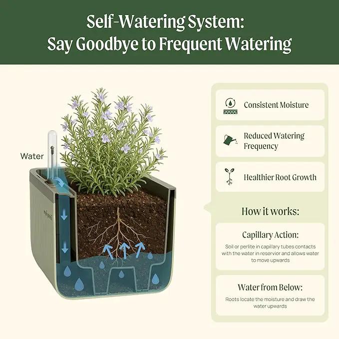 Vego garden Herb Indoor Plant Box, Self Watering Planters Pots for Indoor Plants with Trellis for Kitchen Window Sill or Countertop Plants Cage - Sage Green by GreenHaven Gardens