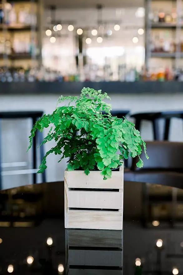 Wood Planter Box with Wine Crate Styled, 5 Inch Square, Rose Wood, Plastic Liner, Garden Centerpiece Display, Wedding Flowers Holder, Home and Venue Decor (5x5 Wine Crate Set of 4, Rose Wood) by GreenHaven Gardens
