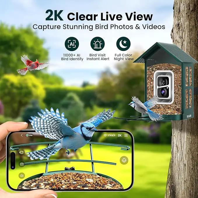 SOLIOM Solar Bird Feeder with Camera for Outdoors - AI Smart Birdhouse, 2K Live View & Instant Alerts, Squirrel Proof - Perfect Bird Watching Gift (Green) by GreenHaven Gardens