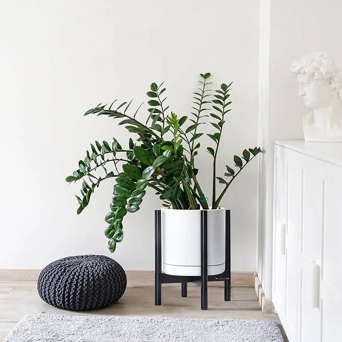 D'vine Dev Ceramic Planter with Ebony Stand - 12 Inch Modern Round Flower Pot with Wood Planter Holder, White, 55-B-H-1 by GreenHaven Gardens