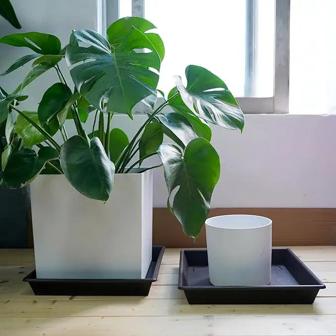 Square Plant Saucer 14 Inch 2 Pack，Plant Stand Plant Trays for Pots Heavy Duty Plastic Plant Saucers for Indoors Outdoors, Flower Pot No Holes Plant Lover Gardening Gifts by GreenHaven Gardens