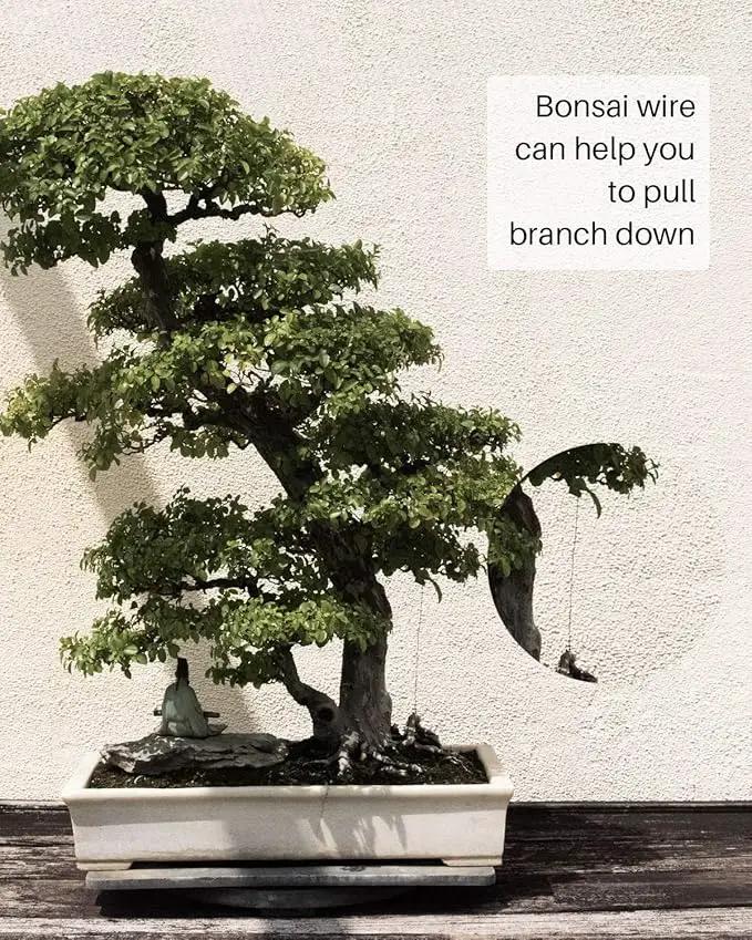 MoHern Bonsai Wire and Bonsai Tool Kit, Total 164 Feet Bonsai Tree Wire for Bonzai Trees Indoor, Size of 1-mm, 1.5-mm, 2-mm Aluminum Wire by GreenHaven Gardens