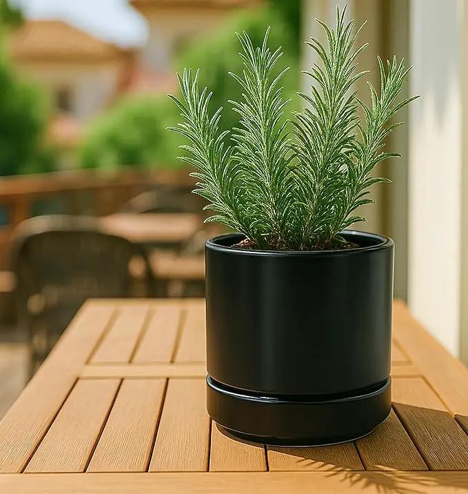 D'vine Dev 3.5 Inch & 4.7 Inch Ceramic Planter Pots for Plants with Drainage Hole and Saucer, X-Small Plant Pots Set, Black, 94-G-XS-2 by GreenHaven Gardens