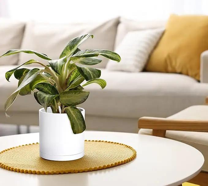 D'vine Dev 4 Pack 6 Inch Modern Plastic Plant Pots, Small Garden Planters for Plant with Drainage Holes and Saucers, White Color, 74-Z-J-2 by GreenHaven Gardens