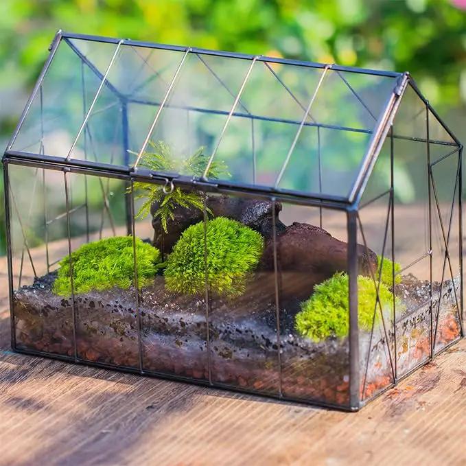 NCYP Geometric Glass Terrarium with Lid for Succulent, Small Cactus - Handmade Clear Closed House Shape Box - Home Indoor Tabletop Garden Decor, Black 9.4" x 5.5" x 7.3" (No Plants) by GreenHaven Gardens