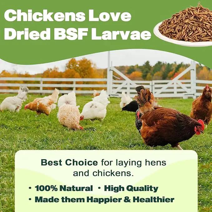 5LB Dried Black Soldier Fly Larvae, 86X Calcium Than Dried Mealworms, High Protein Non-GMO Organic Chicken Feed by GreenHaven Gardens