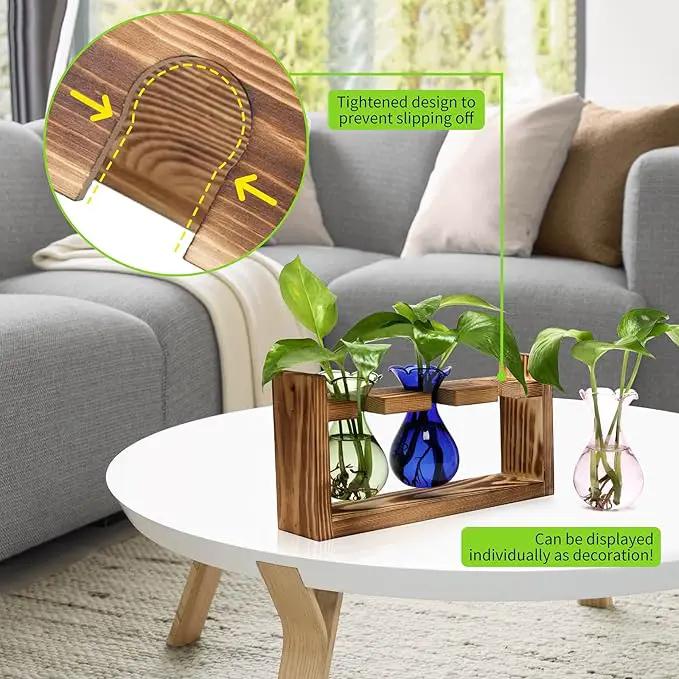 Plant Propagation Station Plant Terrarium Unique Birthday Gifts for Women Plant Lovers Home Office Decor Planter with Wooden Stand - 3 Bulb Glass Vase by GreenHaven Gardens