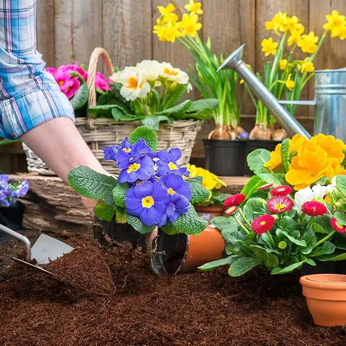 ZeeDix Organic Coco Coir Pellets Potting Soil, 150pcs 30mm Compressed Coconut Fiber Seed Starter Soil Pellets, Coco Peat Soil Discs for Indoor Outdoor Plants, Herbs, Houseplants, Flowers, Vegetables by GreenHaven Gardens