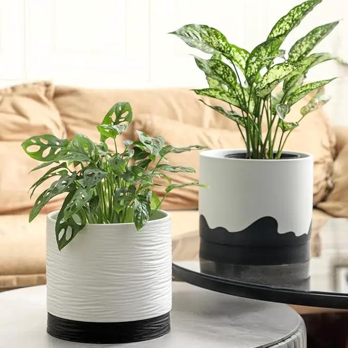 Nihow Ceramic Plant Pot: 8 Inch Planter with Drainage Hole & Saucer for Indoor & Outdoor Plants - Cylinder Round Flower Pot for Succulent/Herbs/Violets - White & Wave Black by GreenHaven Gardens