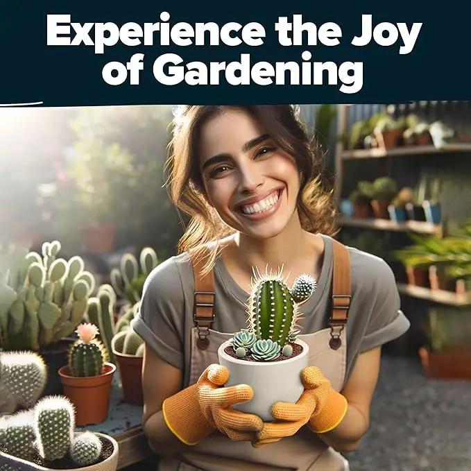 HOME GROWN Succulent & Cactus Seed Kit for Planting – [Enthusiasts Favorites] Premium Cactus & Succulent Starter Kit: 4 Planters, Drip Trays, Markers, Seeds Mix, Soil - DIY Gift Kits by GreenHaven Gardens