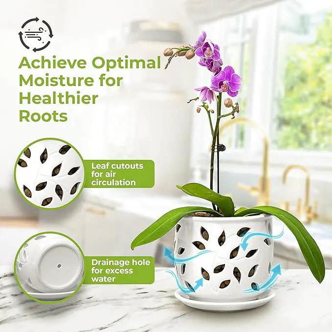 Orchid Pot with Holes & Saucer Ceramic 5.25 in. Indoor or Outdoor Large Pot for Orchid Care & Root Health with Precise Aeration & Drainage – Durable for Repotting or New Plants by GreenHaven Gardens