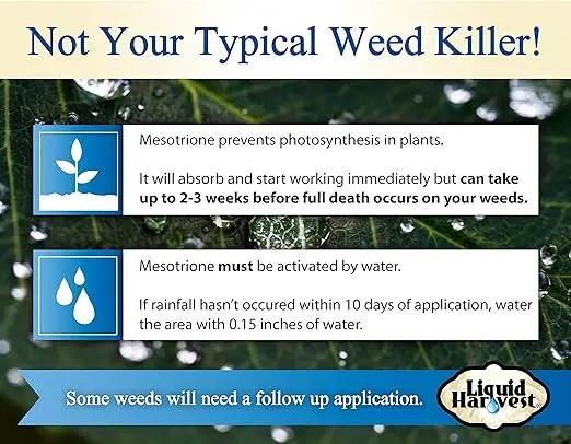 Liquid Harvest Mesotrione - 32oz - Mesotrione Concentrate (Compare to Tenacity) - Pre and Post-Emergent Weed Killer for Lawn and Turf Grasses by GreenHaven Gardens