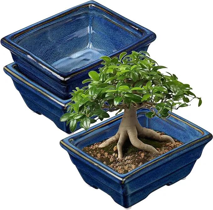 Bonsai Pots Shallow Succulent Planters for Live Bonsai Trees Set of 2, 6.3" Ceramic Pot for Succulents Indoor with Drainage Hole, Outdoor Cactus Plant Bonsai Pot，Ceramic Flower Pot by GreenHaven Gardens