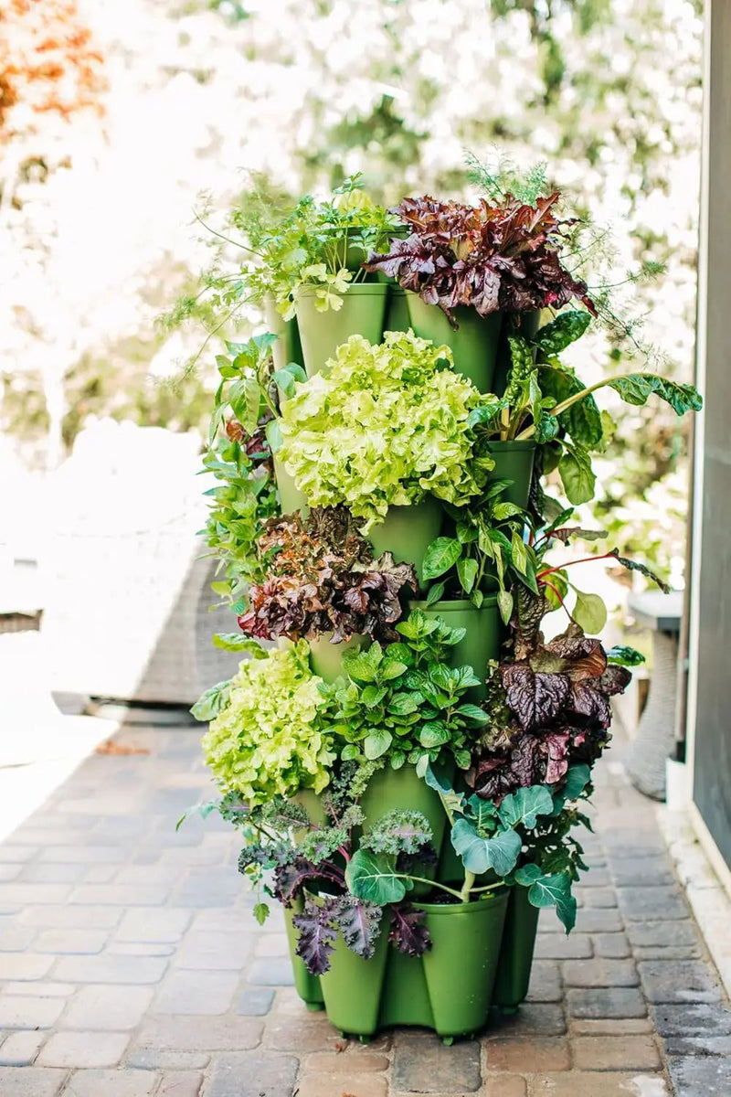 Greenstalk Patented Large 5 Tier Vertical Garden Planter with Patented Internal Watering System Great for Growing a Variety of Strawberries, Vegetables, Herbs, & Flowers (Evergreen) by GreenHaven Gardens