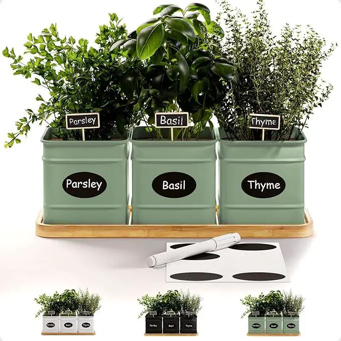 Herb Planter Indoor - 3 Iron Herb Pots with Drainage Holes, Varnished Bamboo Tray, Customizable Labels & Marker Pen - Indoor Herb Garden Planter - 3 Pots for Herbs - Inside Spice Garden - Basil Pot by GreenHaven Gardens