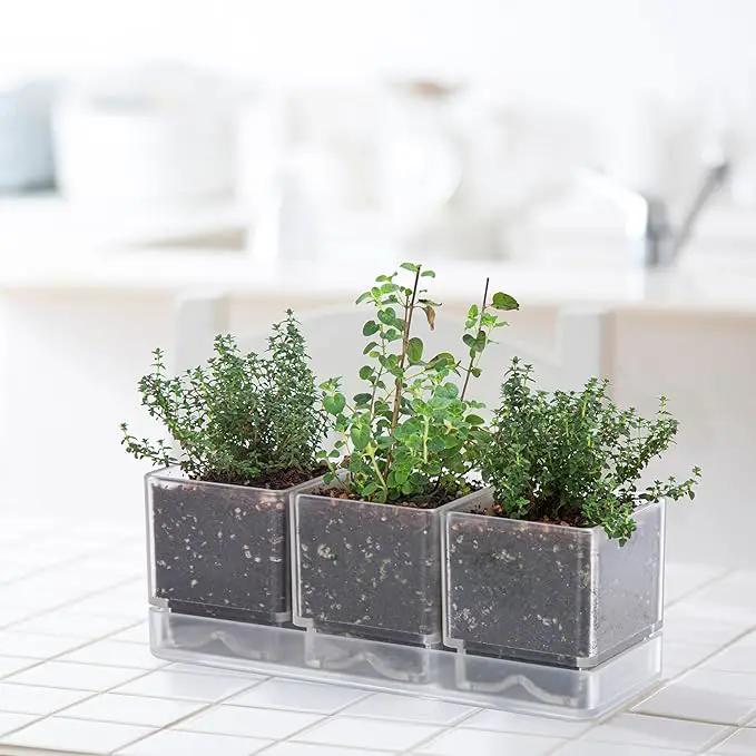 D'vine Dev Herb Garden Planter Set, Plastic Plant Pots with Drainage and Saucer, Indoor Succulent Cactus Vegetable Pot for Windowsill, Garden Balcony, Clear, Set of 2, 76-V-D-2 by GreenHaven Gardens