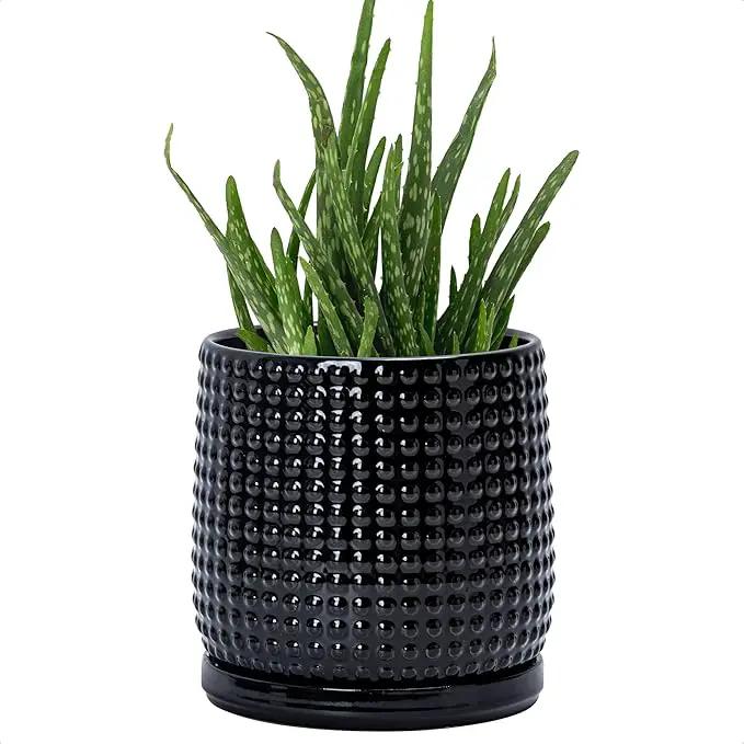 D'vine Dev 6 Inch Ceramic Beaded Stoneware Planter Pot - Flower Pot with Drainage Holes and Saucers for Indoor Succulent Plants or Flowers, Glossy Black, 27-C-X-2 by GreenHaven Gardens