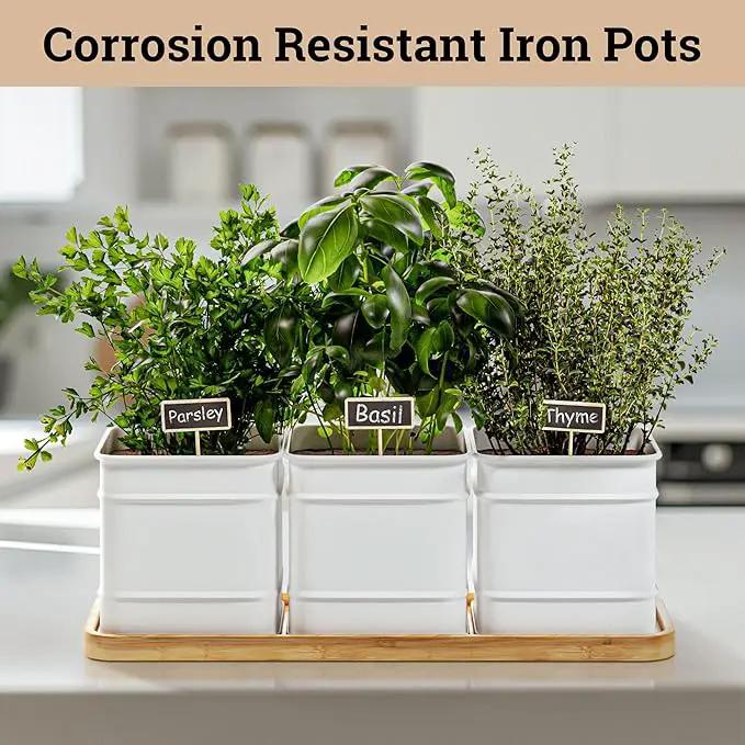 Herb Planter Indoor - 3 Iron Herb Pots with Drainage Holes, Varnished Bamboo Tray, Customizable Labels & Marker Pen - Indoor Herb Garden Planter - 3 Pots for Herbs - Inside Spice Garden - Basil Pot by GreenHaven Gardens