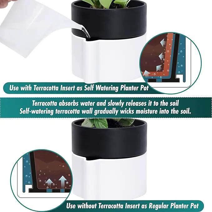 Phoenix Vine 6.5 Inch Self-Watering Planter Pot with Terracotta Insert, Deep Water Reservoir, and Ceramic-Alike BPA-Free Plastic Pot for Plant, Modern Planter for Houseplants, White/Black, 53-B-S-4 by GreenHaven Gardens