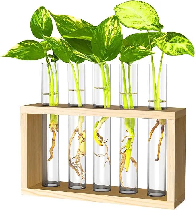 Ivolador Plant Propagation Station Terrariumin Wall Test Tube Vases Bud Tabletop Glass Wooden Stand with 5 Propagation Tubes for Propagating Hydroponic Plants Home Garden Wedding Decoration-Beige by GreenHaven Gardens