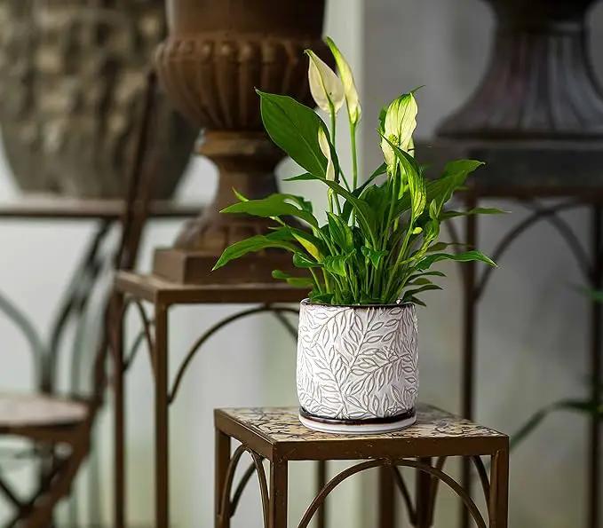 D'vine Dev 6 Inch Embossed Leaves Stoneware Planter Pot with Drainage Hole and Saucer, Smoked White, Set of 1, 27-A-X-1 by GreenHaven Gardens