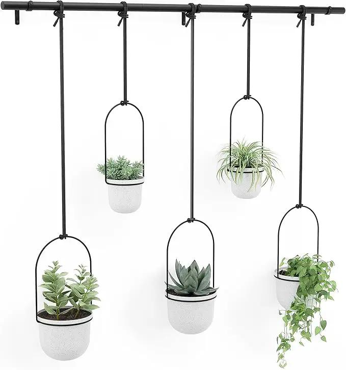 Umbra Triflora Hanging Planter for Window, Indoor Herb Garden, Set of 5, White/Black by GreenHaven Gardens