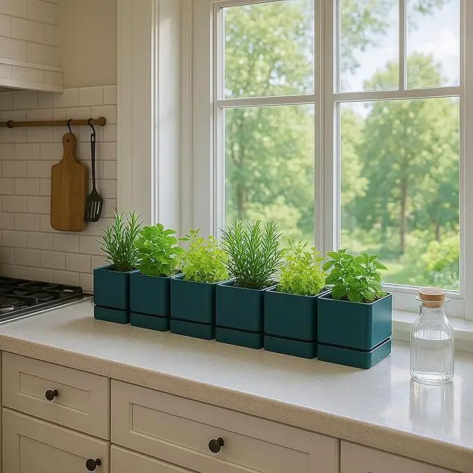 4 Inch Herb Planter Pot, Plastic Planter with Drainage Holes and Saucer, Modern Decorative Gardening Pot for Indoor Plants, Flowers, Herbs, Succulents, Green, Set of 6, 76-Y-C-6 by GreenHaven Gardens