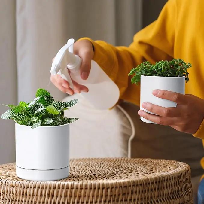 D'vine Dev 3.5 Inch & 4.7 Inch Ceramic Planter Pots for Plants with Drainage Hole and Saucer, X-Small Plant Pots Set, White, 94-G-XS-1 by GreenHaven Gardens