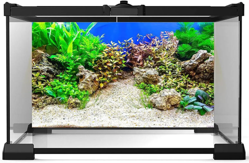 Aquarium Background Underwater Grass Leaves with Pebble Terrarium Background Vivid and Fresh Green Aquatic Plant Stone River Bed and Lake Fish Tank Background Decor Vinyl 48x18in by GreenHaven Gardens