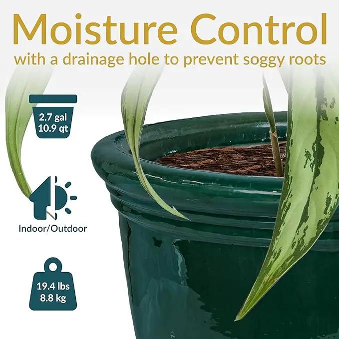 Sunnydaze Studio Large Ceramic Plant Pot - Round Outdoor Glazed Ceramic Planter Pot with Drainage - Dark Green - 15 in by GreenHaven Gardens