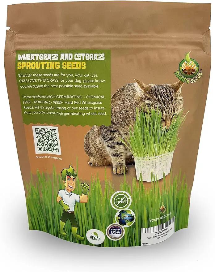Todd’s Seeds – Cat Grass for Indoor Cats, 1lb Wheatgrass – Premium, Non-GMO, Pet-Safe & Easy to Grow – No Fillers, 100% Chemical-Free by GreenHaven Gardens