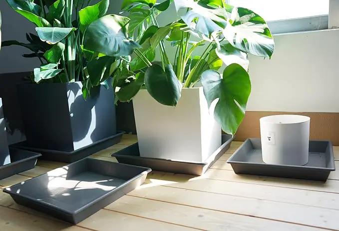 Square Plant Saucer 14 Inch 2 Pack，Plant Stand Plant Trays for Pots Heavy Duty Gray Plastic Plant Saucers for Indoors Outdoors, Flower Pot No Holes Plant Lover Gardening Gifts by GreenHaven Gardens