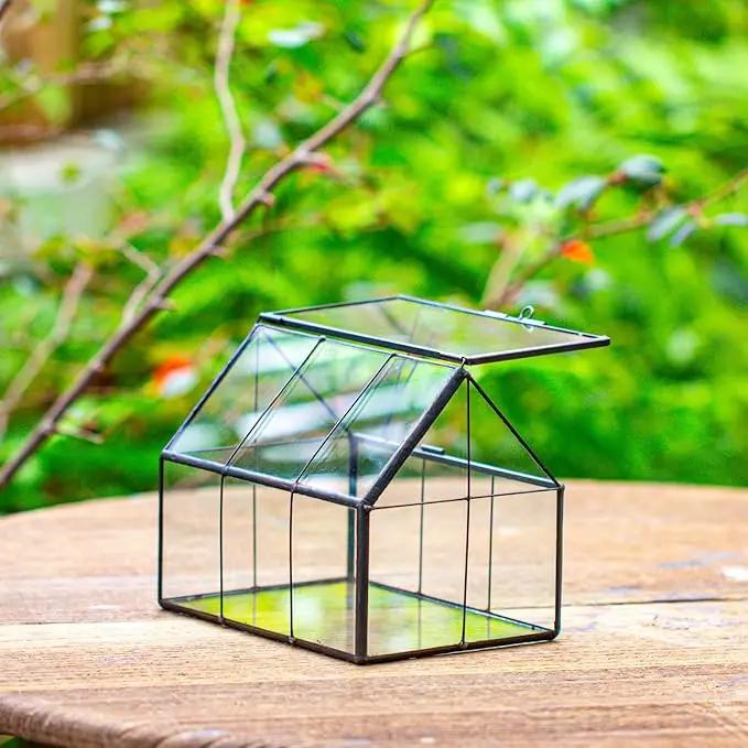 NCYP Mini Glass Terrarium with Lid - 6.1" x 4.25" x 4.92" House Shape Closed Planter Pot for Small Cactus, Succulents Plant - Home Garden Office Tabletop Geometric Decor, Black (Terrarium Only) by GreenHaven Gardens